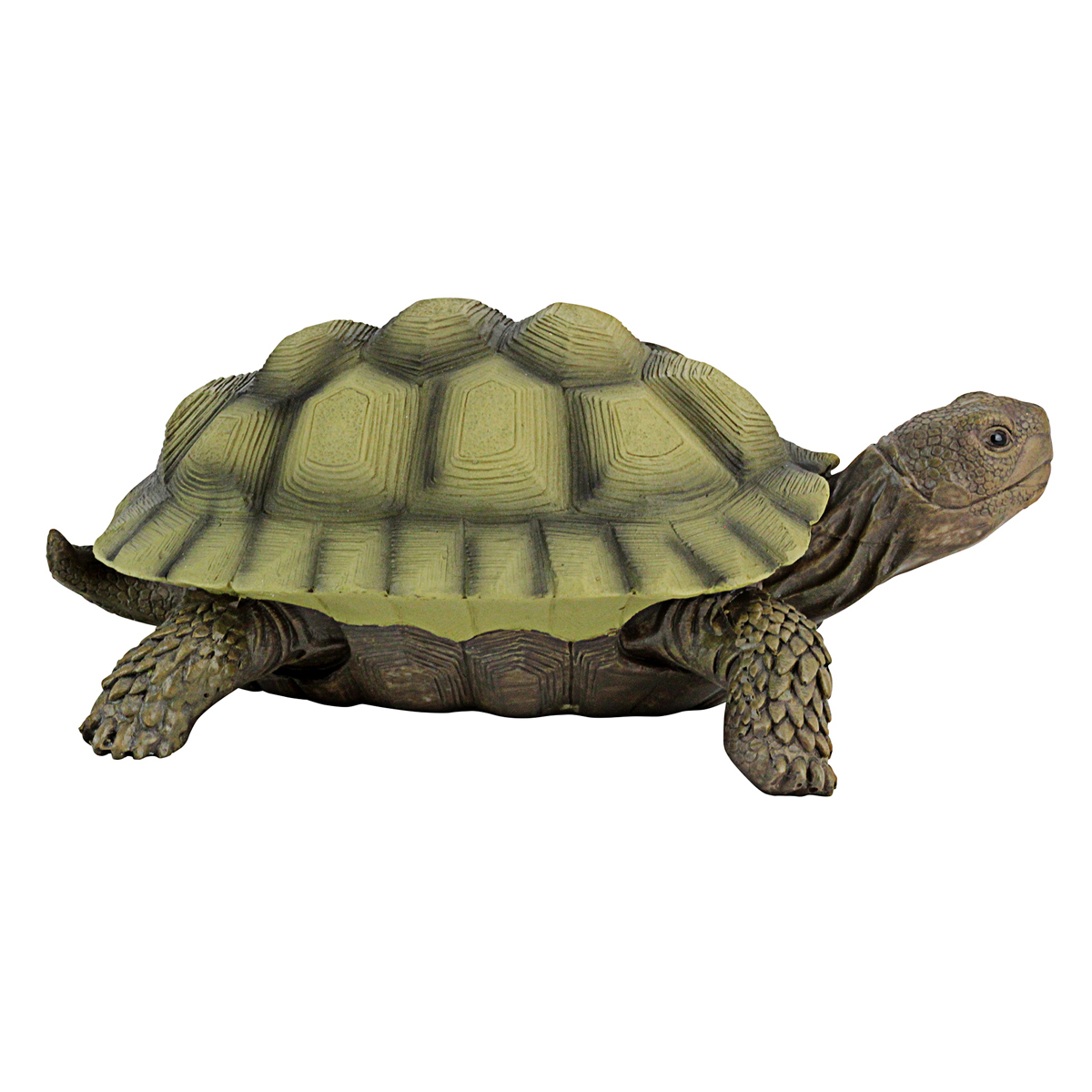 Image Thumbnail for Gilbert The Box Turtle Statue